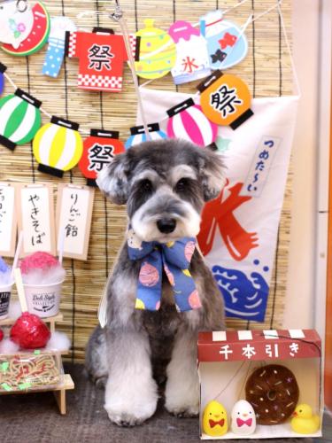 20240712ビッケくん